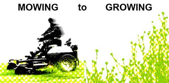 One Prize - Mowing to growing